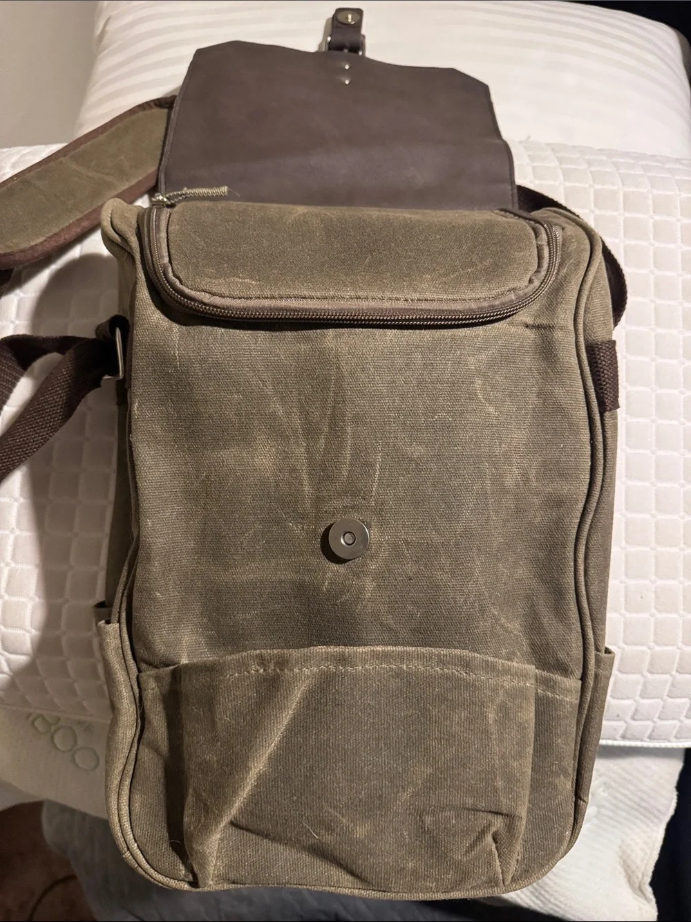 Legacy durable olive